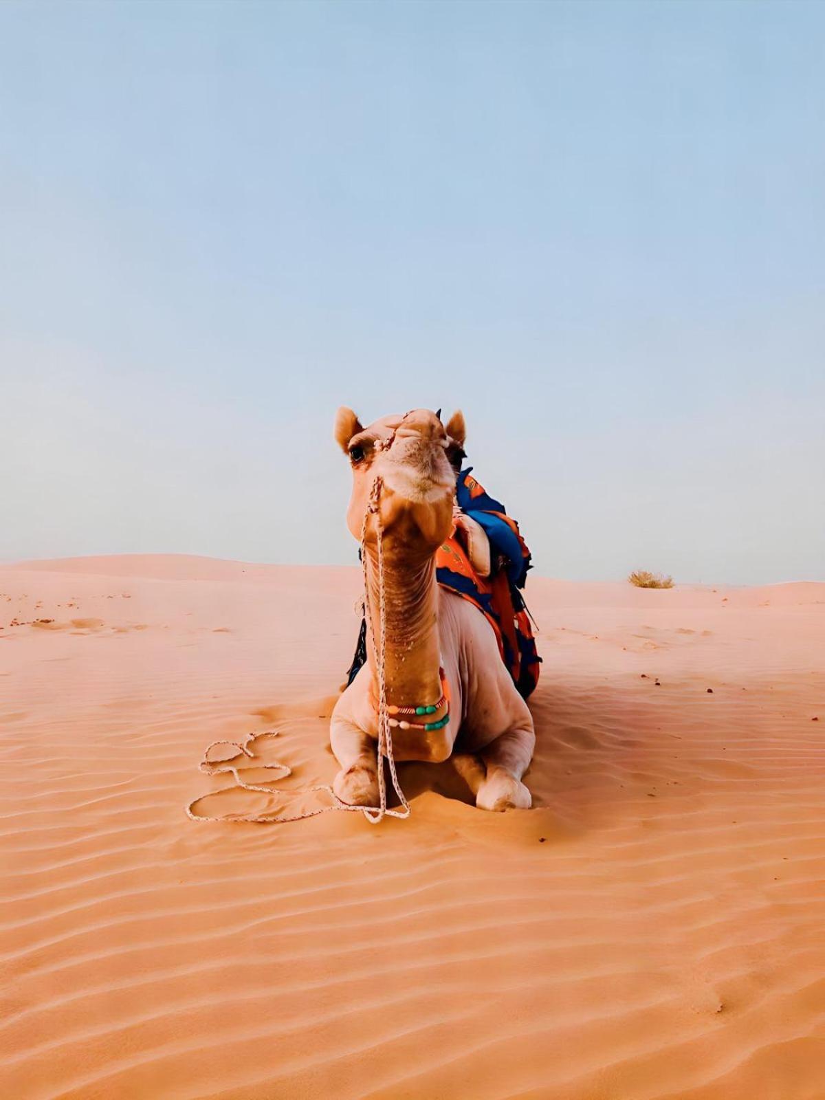Jaisalmer Sand Dunes Luxury Camp And Resort Luaran gambar